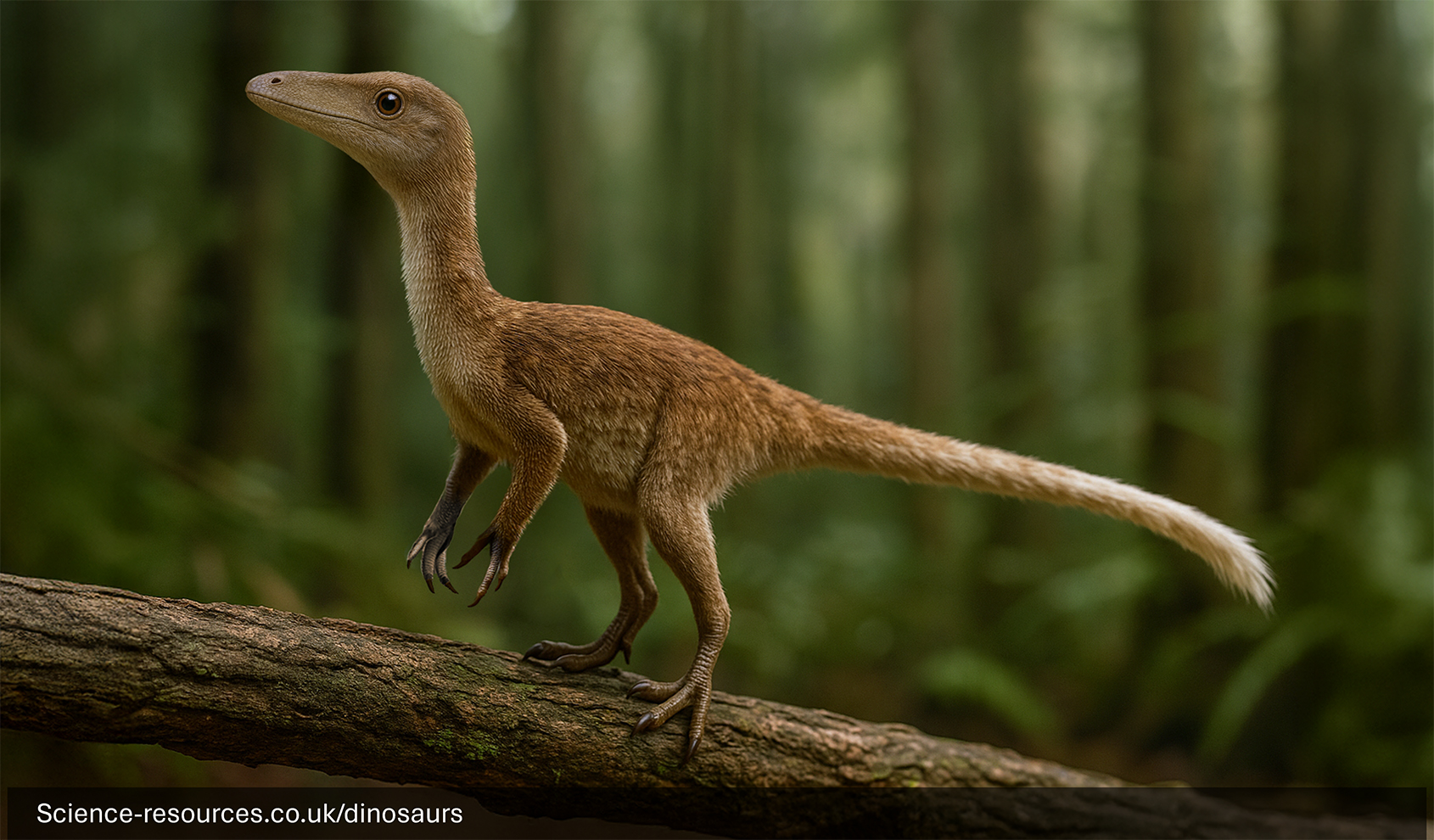 A 2024 / 2025 modern realistic rendering of a Compsognathus in a forest setting. The dinosaur is shown mid-roar, with its mouth open wide, exposing its sharp teeth. It’s surrounded by tall trees and the ground is covered with grass and ferns. Sunlight filters through the trees, casting an ethereal glow on the scene.