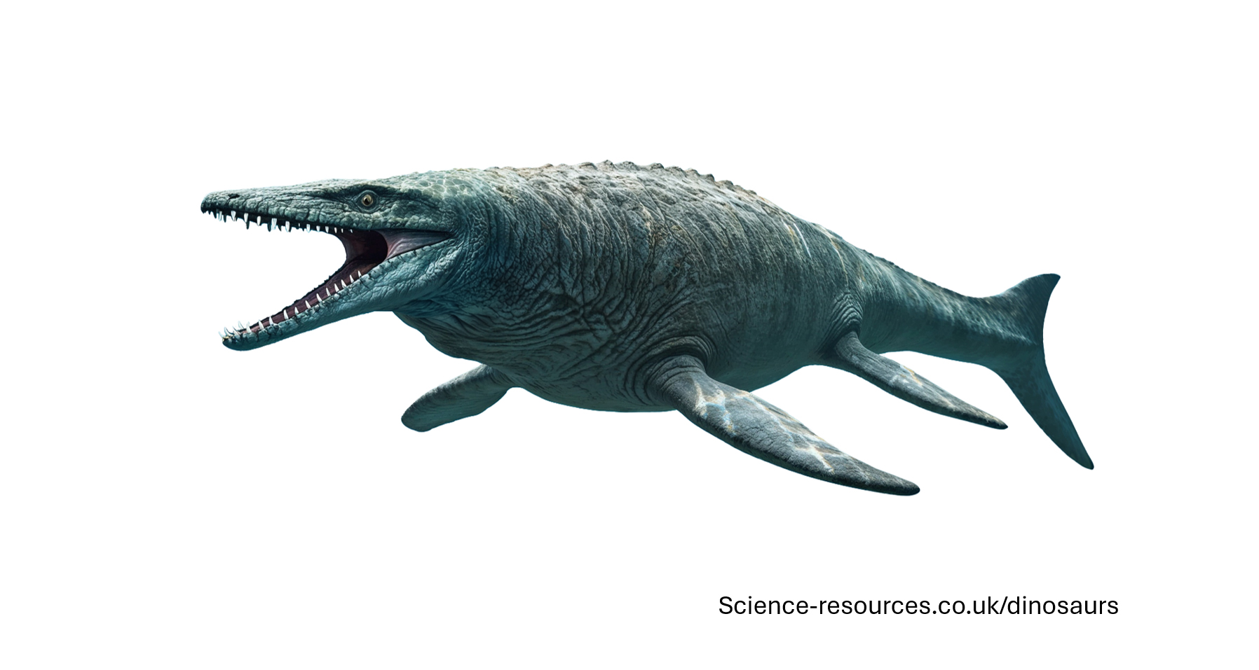A realistic rendering of an Mosasaurus.