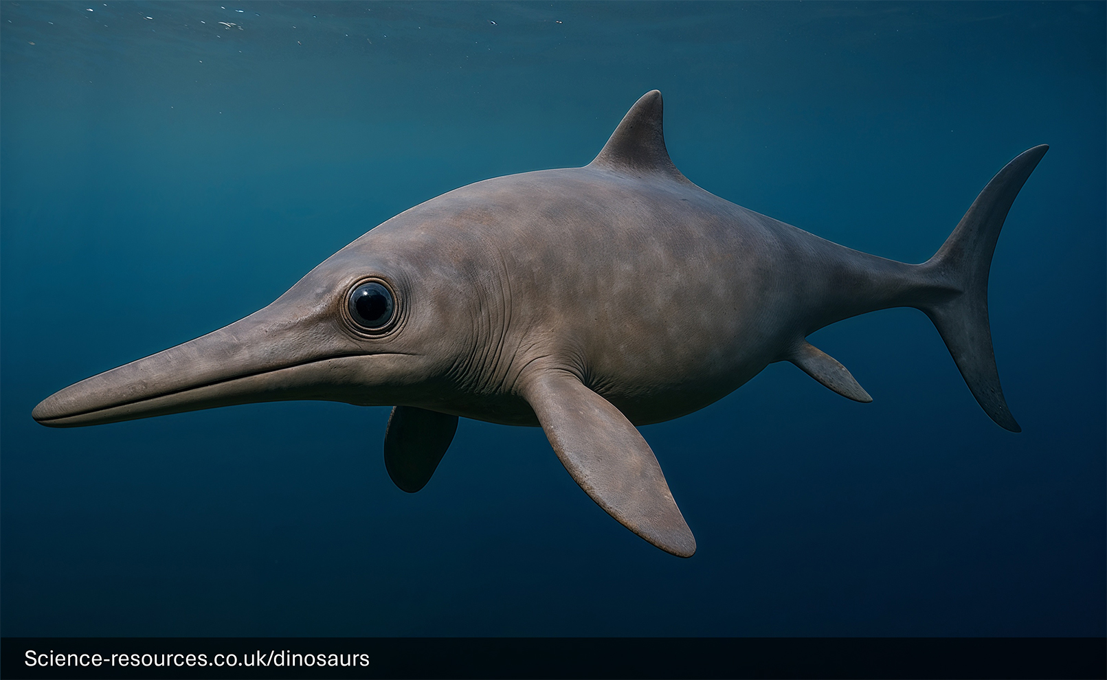 A photorealistic computer-generated image of a prehistoric marine reptile, a Ophthalmosaurus, swimming in a prehistoric ocean. The creature has a sleek, dolphin-like body with a prominent dorsal fin, large tail fluke, and a long, narrow snout. Its skin is patterned with dark grey stripes over a lighter grey base. 