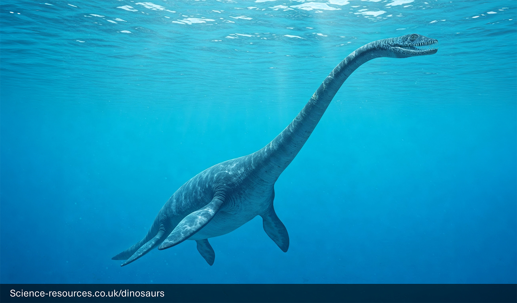 A photorealistic computer-generated image of the long-necked marine reptile, Plesiosaurus, swimming in deep blue ocean water. The creature has a sleek, dark-blue/grey body, four large paddle-like flippers, and a long, thin neck leading to a small head with its mouth slightly open, showing tiny teeth. The light is dim, suggesting it is a distance from the surface.